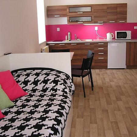 Apartment Třeboň 객실 사진