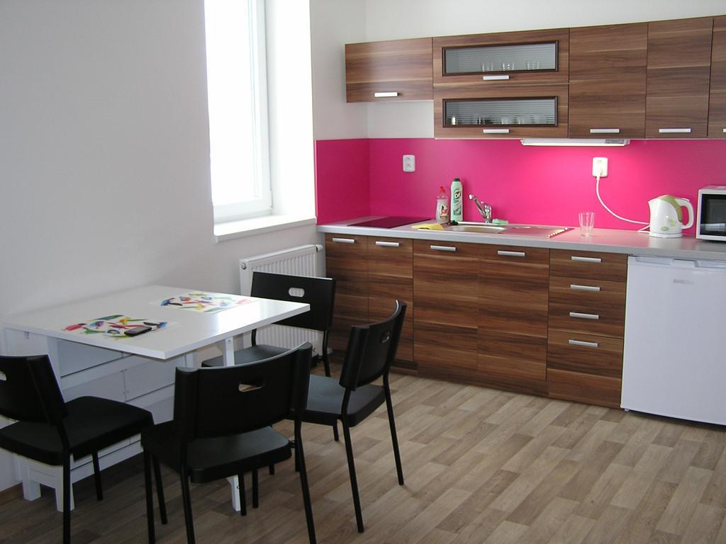 Apartment Třeboň 객실 사진